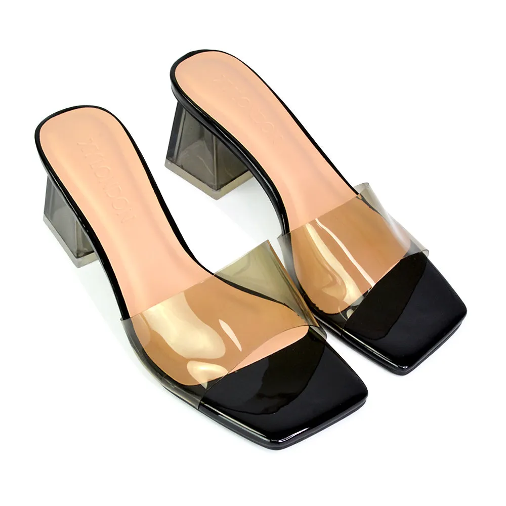 Strawberry Perspex Strappy Square Toe Clear Block Heel Mules in Black