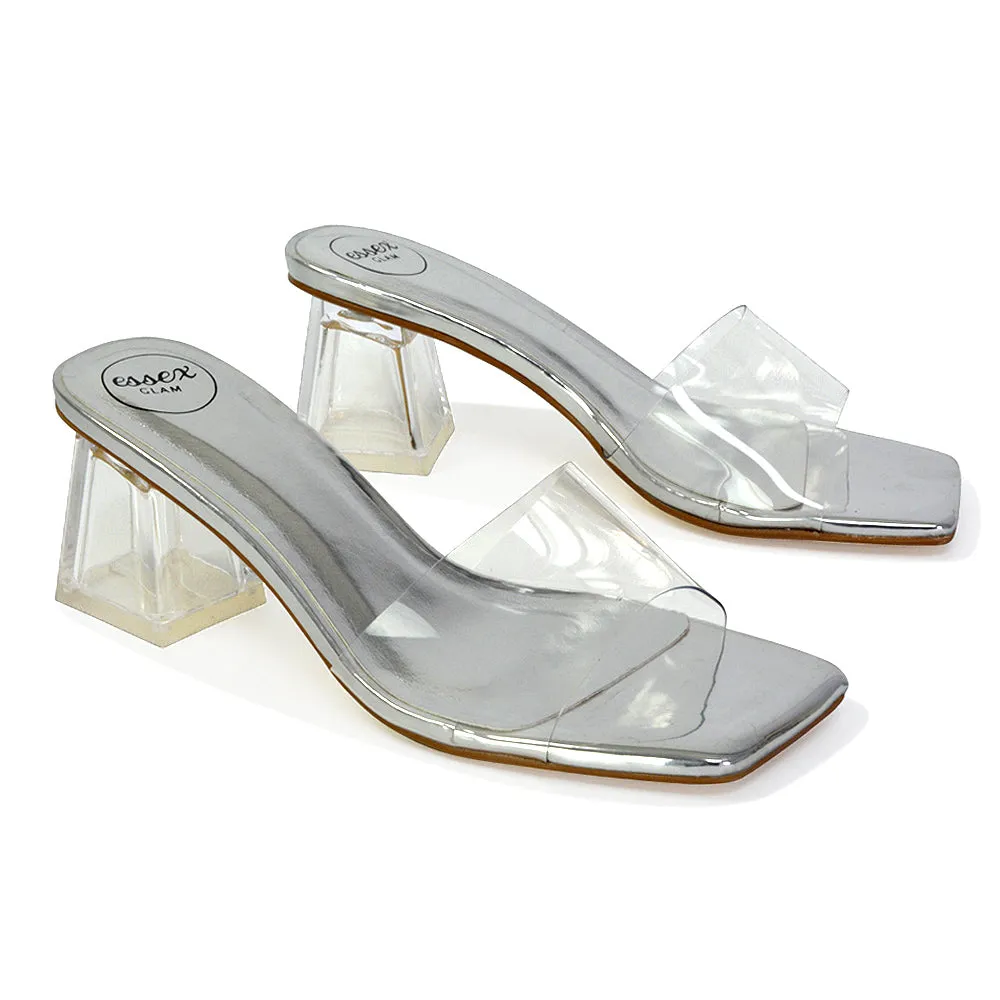 Strawberry Perspex Strappy Square Toe Clear Block Heel Mules in Black