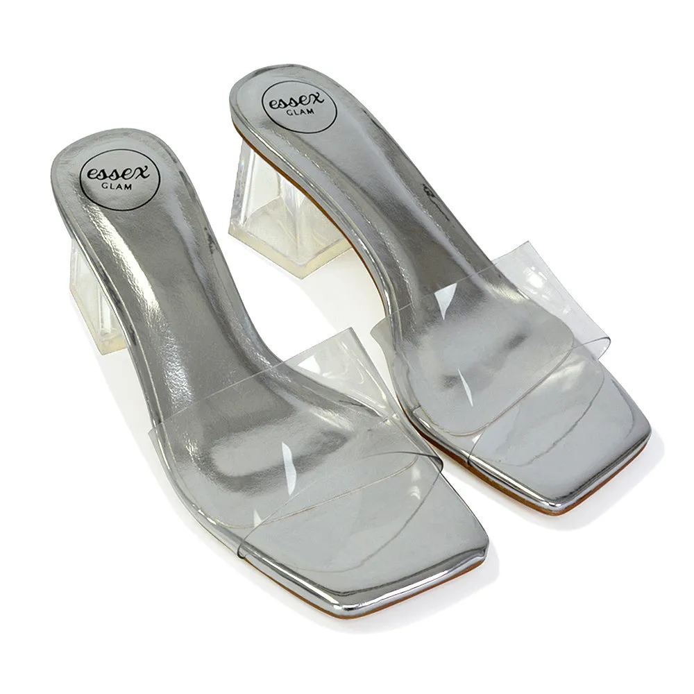 Strawberry Perspex Strappy Square Toe Clear Block Heel Mules in Black