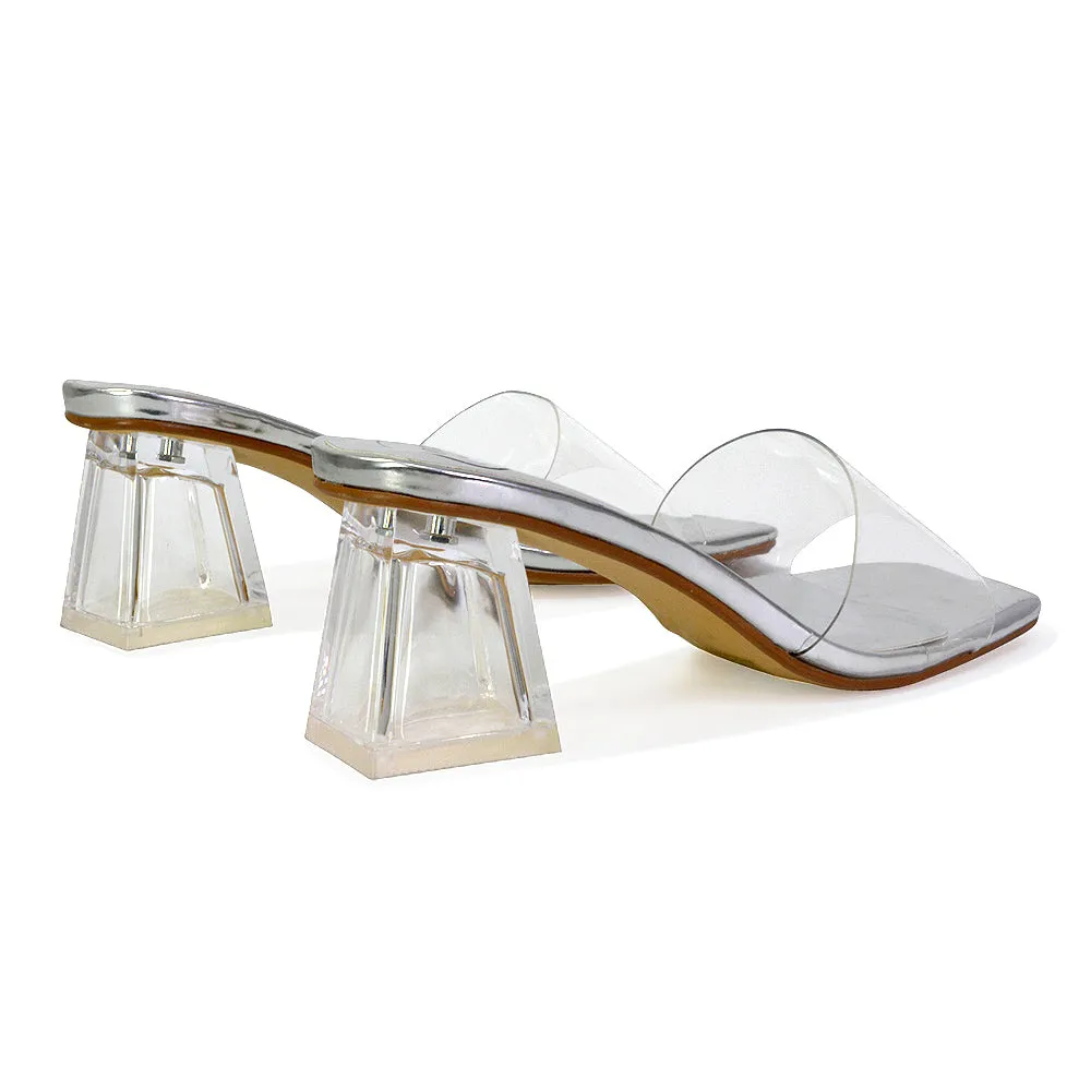 Strawberry Perspex Strappy Square Toe Clear Block Heel Mules in Black