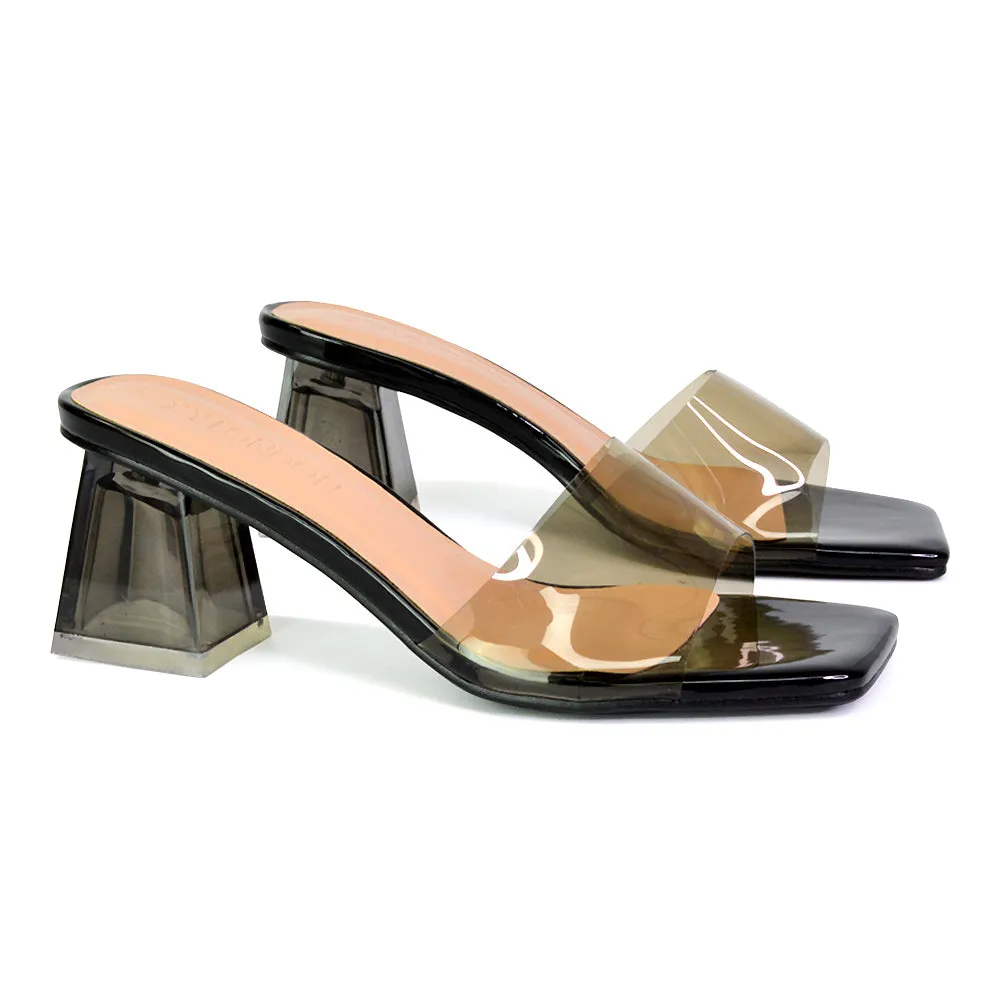 Strawberry Perspex Strappy Square Toe Clear Block Heel Mules in Black