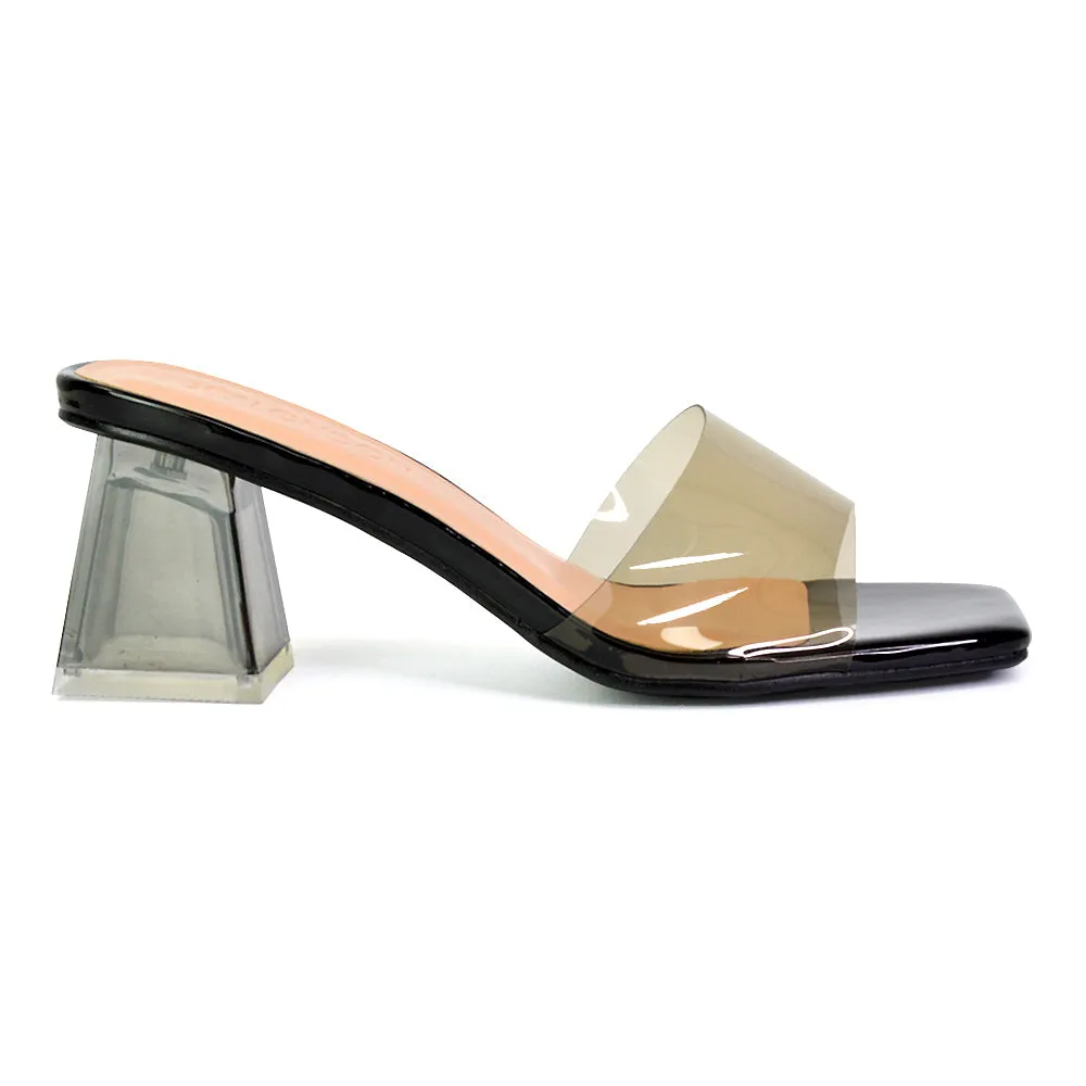 Strawberry Perspex Strappy Square Toe Clear Block Heel Mules in Black